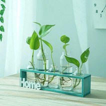 수경재배 수중식물 플랜테리어 화분 원목 유리병, 화이트 5홀 물병 포함
