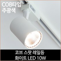코브 스팟 레일등 화이트 COB타입 LED 10w 주광색, 단품