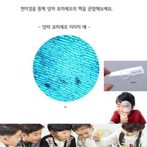 어린이 초등 과학키트 양파 표피세포 관찰 현미경 표본 슬라리드 글라스 프레파라트