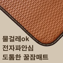 더안 전자파안심 물걸레가능 도톰한 방수 전기매트, 70x180