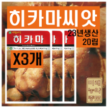 히카마 씨앗 20립 X3개 (23년산)- 얌빈 씨앗