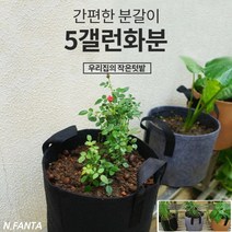 부직포 화분 식물 감자 키우기 5갤런 30x25 블루베리 고구마 감자 모종 키우기 베란다 텃밭 흙 담기 화분, 1화분5갤런-블랙
