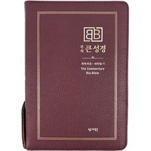 [버건디] 주석 큰성경 개역개정 & 새찬송가 - 정46판.색인 - 지퍼, 성서원