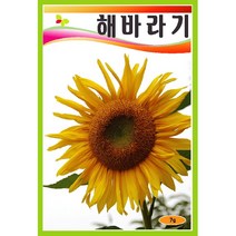 씨앗 해바라기 (야생화) 5g