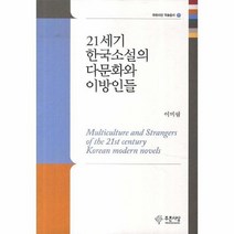 21세기 한국소설의 다문화와 이방인들 21 푸른사상학술총서, 상품명