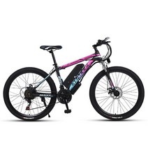 전기 자전거 산악 리튬 배터리 고속 브러시리스 더블 디스크 브레이크 26 인치, 01 Pink Spoke, 02 21Speed 13A