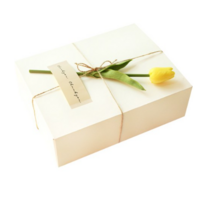 도나앤데코 블룸 직사각형 상자 화이트 대 3p + 아린 땡큐스티커 3p + 튤립 장식꽃 옐로우 3p + 마끈 10m, 혼합색상, 3세트