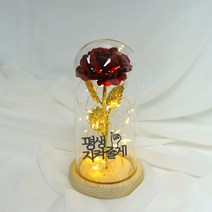 굿라이프 레드 장미 무드등 홀로그램 LED 장미 유리돔 무드등 레드꽃 우드받침대 로즈데이 선물 화이트데이 발렌타인데이, 04. 평생 지켜줄게