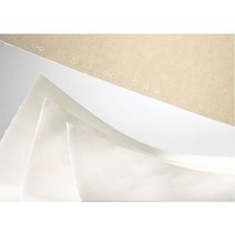 [∂LL7] 캔손목탄지 130g 50x65 MBM 25장 - 32136 유화용지 수채화그림 화방 지 전문가미술_h§eEA, §본상품§e, 옵션무[#@$]