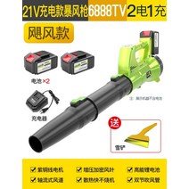 송풍기 눈치우는 제설용 풍로 부로와 부로아 바람부는기계 파워 블로워 브로아 브로어 8, DLS-허리케인 모델 충전 스톰 헤어 드라이어 6