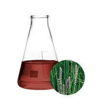 지모추출물 / 천연비누 화장품 만들기 DIY 재료, 1개, 100ml