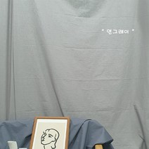 지오텍스 원단폭245cm 초광폭 배경천 촬영배경지 11가지 색상 흰천 하얀천 셀프 인스타 유튜브 블로그, 연그레이