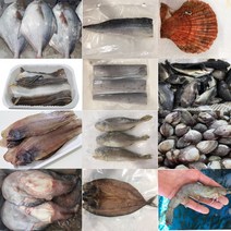 정서방네 온라인생선가게 골라담기 생선 새우 장어 바다생선, 전복 대 1kg