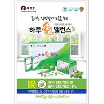 특허받은 발효미강 이눌린 차전자피 장건강 식이섬유 하루애밸런스 10g x 30포, 10g/포