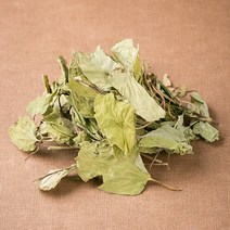 봉래종합약초 국산 삼백초 100g/한방/건강/약초/약재 식품 > 건강식품 전통건강식품 기타전통건강식품/한방재료, 1, 100g, 100g” class=”wr-img”></a></div></p></div></p></div></p></div><div class=