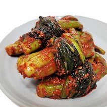 경자네 맛있는 전라도 가정식 국내산 수제 여수 갓김치 2kg/3kg, 2kg