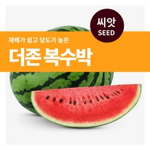 마이플랜트 더존 복수박 씨앗 10립, 단품없음