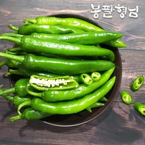 해남 풋고추 매운+안매운 (혼합형) 10kg, 단품