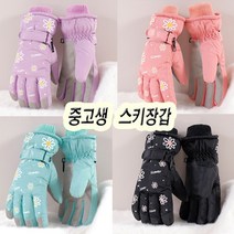 [잼뽀니]데이지 여성스키장갑 중고생~성인까지 따뜻한 방한스키장갑(안양점)