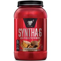 BSN 신타6 단백질 파우더 SYNTHA6 웨이프로틴 초콜릿케이크맛 2.27kg 48회분, 1개, 28 Servings + 바닐라 아이스크림