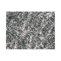Advantec MFS H020A047A Hydrophilic Membrane Filter 47 mm Diameter 35 µm Thickness (Pack of 100) nu, 1