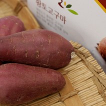 영암 토울황토고구마 10kg 한입 특상