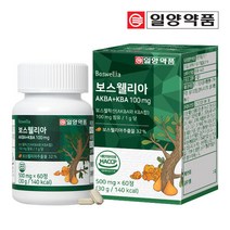 브랜드없음 일양약품 보스웰리아 AKBA+KBA 100mg 1병 (60정), 선택완료, 단품없음