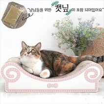 패리스캣 고양이 소파스크래쳐 캣닢포함, 핑크