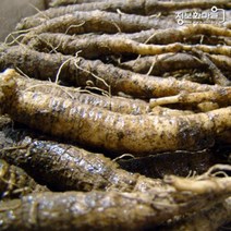 (인빌푸드)술빛고을 동강더덕(실속형잔더덕) 4kg, 1개