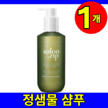 홈쇼핑 정샘물 샬롱 살롱집 싸롱집 단백질 리차징 헤어 헤어팩 밀크팩 샴푸 400ml 아로마틱 플로럴향 1개 1통 사은품