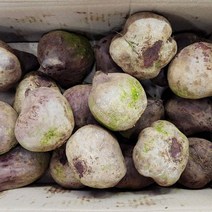 알비트 3kg, 1개