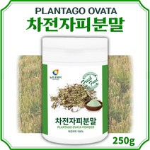 차전자피 분말 가루 100% 300g . 식이섬유 보충이 필요한10대 20대 30대 40대 50대 60대 70대 80대 섬유질 자전차피 차전차피 자전피 화이바 화이버, 1통