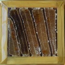 지리산 산사람 벌집꿀, 1개, 벌집꿀 3.6kg 종이상자(금색보자기무료)