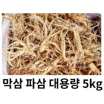 금산인삼시장 수삼 파삼 가정용 흠있는 5 kg 못생긴인삼 막삼 대용량, 파삼막삼 5Kg, 1개