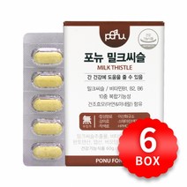 포뉴 밀크씨슬 1000mg x 60정 x 6박스, 단품, 단품