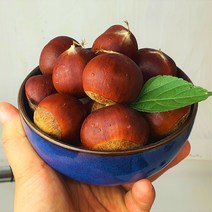 2023 명품 햇밤 특등품 진주밤 공주밤 제수용 밤, 1box, 4kg(햇밤 특)