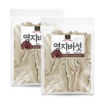 퓨어영 영지버섯 절편 500g 영지버섯차, 2봉