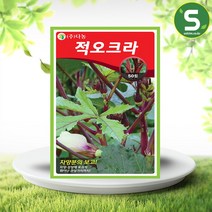 솔림텃밭몰 적오크라씨앗 50립 열대지방 여름채소씨앗, 단품
