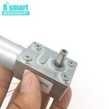 웜기어 감속기 모터 Bringmart JGY-2430 브러시리스 12 볼트 24V DC 웜 기어 모터 자동 잠금 가역 브레이크, 10 24V 10rpm