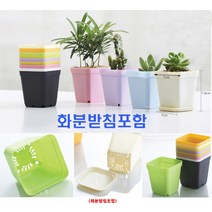 미니사각화분/미니화분/플라스틱화분/다육이화분, 상세페이지 참조