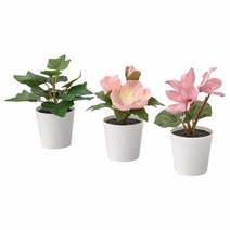 이케아 페이카 인조식물+화분 3종 실내외겸용 그린핑크 6x(12-13)cm 화분지름6cm