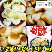 해남 농협 양파장김치 3kg 양파장아찌 전라도 양파 장아찌 반찬 이맑은 김치