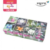 식물 관찰 도감 입체 퍼즐 5인 세트 교육장난감 어린이집교구 과학실험교구 초등 실험세트 방과후학습 실험