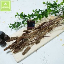 금림식품 국내산 말린 하고초 꿀풀 200g, 1개