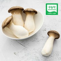 삼시세끼연구소 친환경 무농약 새송이 버섯 미니새송이버섯 콩알새송이버섯 구이용 300g 400g, 친환경 새송이버섯(대) 400g, 1개