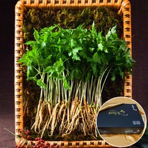 문영철 농부 새싹삼 선물세트 150뿌리 외, 보통 70뿌리[선물세트]