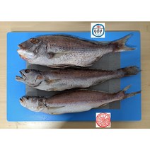 제수용 생선세트(참돔 민어조기 민어), 47cm내외 600g~699g