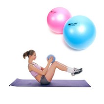바디아트 소프트토닝볼 핑크 버건디 10in KH-207S홈트 요가 필라테스-735056NH, 딜라이트몰 핑크