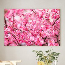 예쁜 힐링 풍수 인테리어 장미 데이지 튤립 꽃그림 모음 북유럽감성 식물액자, 11.봄의 매화나무