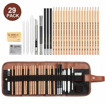 29pcs 연필 세트 드로잉 스케치 숯불 연필 아트 스 지 파우치 가방 초상화 드로잉 도구와 전문 미술 용품, 29개